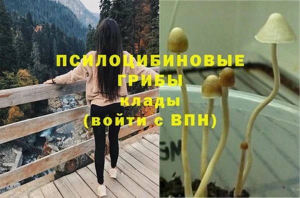альфа пвп Баксан