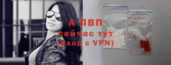 ECSTASY Балахна