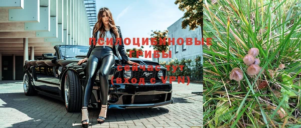 гидра Осинники
