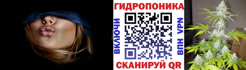 darknet какой сайт  Старый Крым  Шишки марихуана марихуана 
